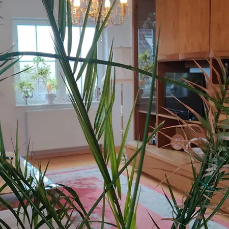 Schoene Bei Berlin * Sommerswalde